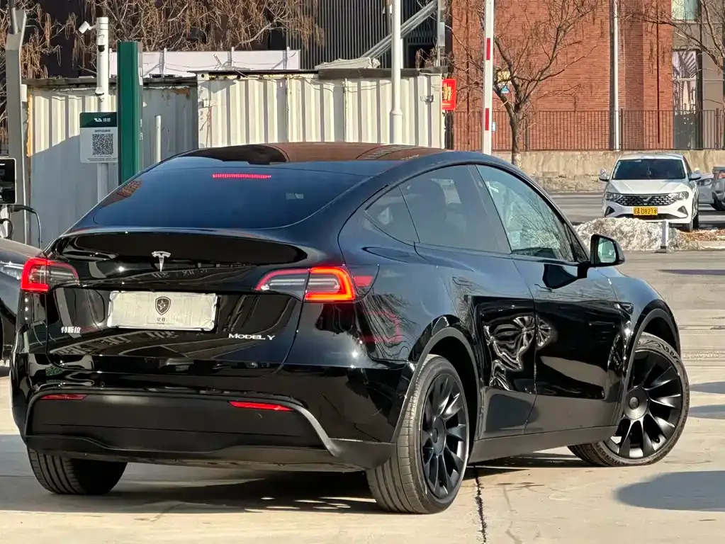 Tesla Model Y 2021 из CN, фото 7