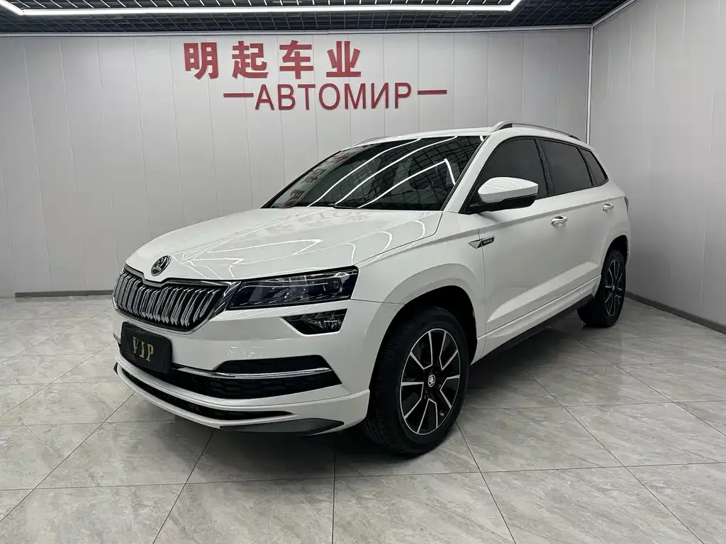Skoda Karoq 2022 из CN, фото 1