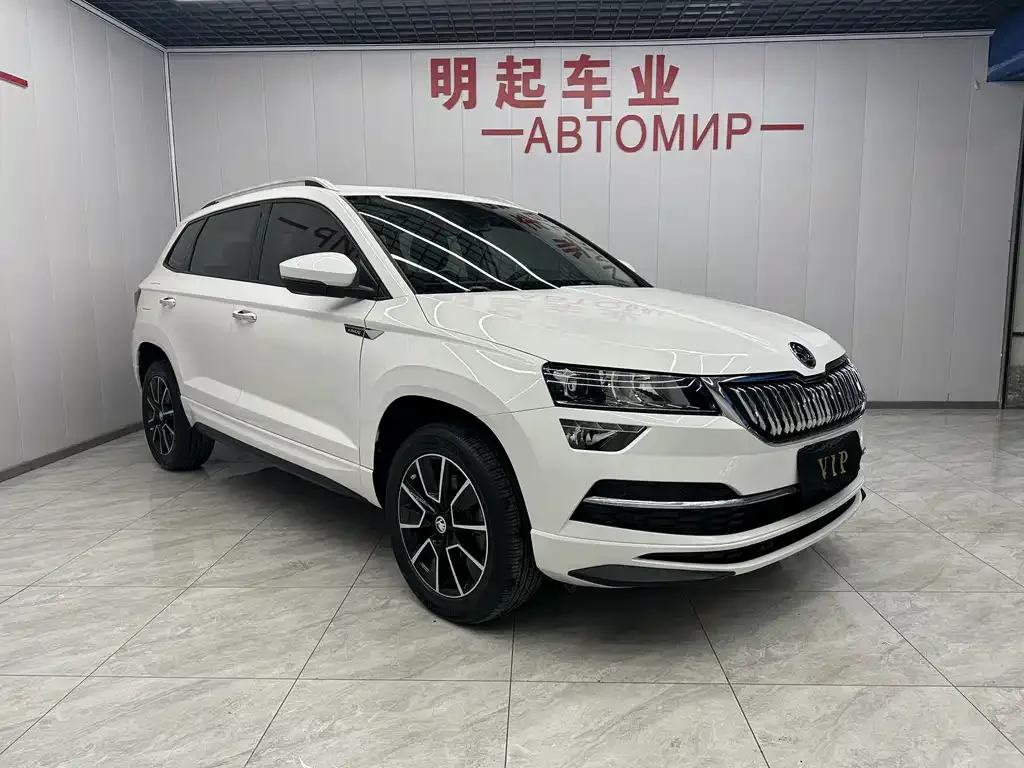 Skoda Karoq 2022 из CN, фото 9