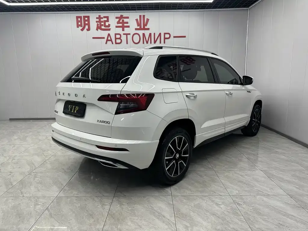 Skoda Karoq 2022 из CN, фото 2