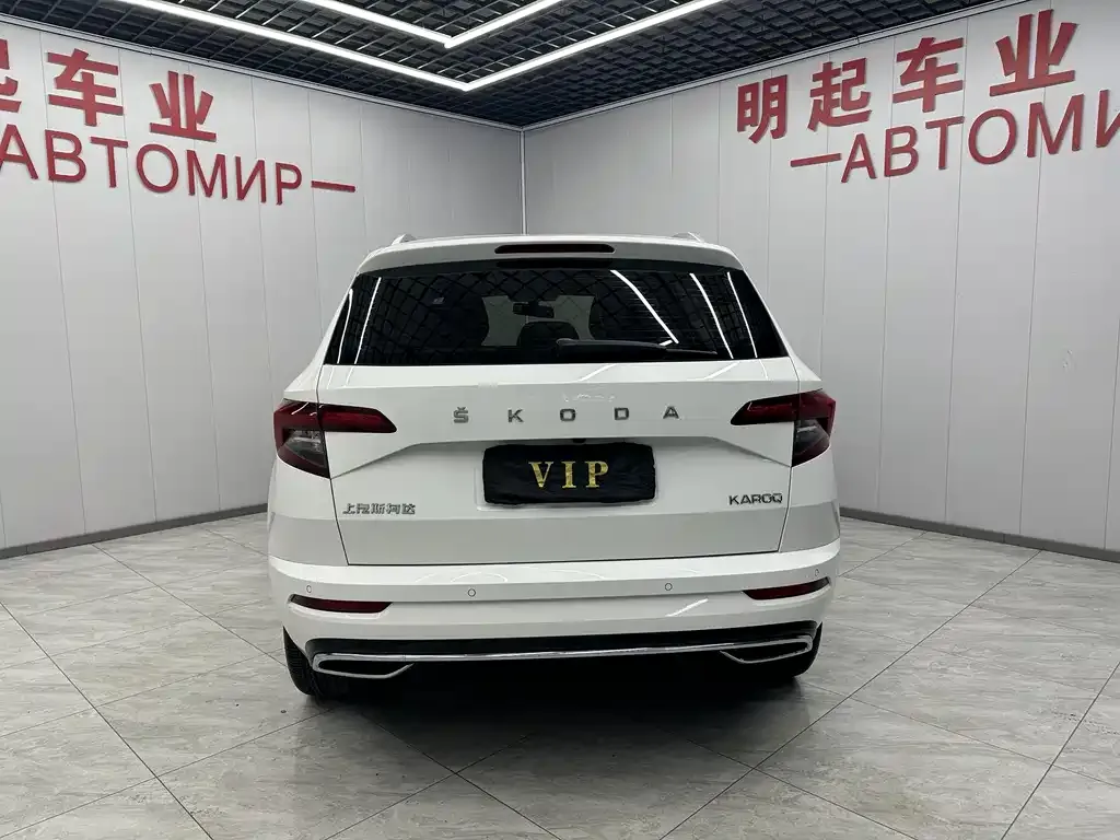 Skoda Karoq 2022 из CN, фото 7