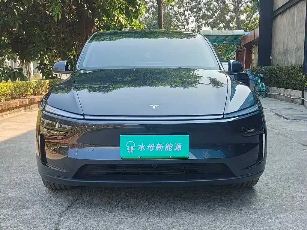 Tesla Model Y 2025 из CN, фото 8