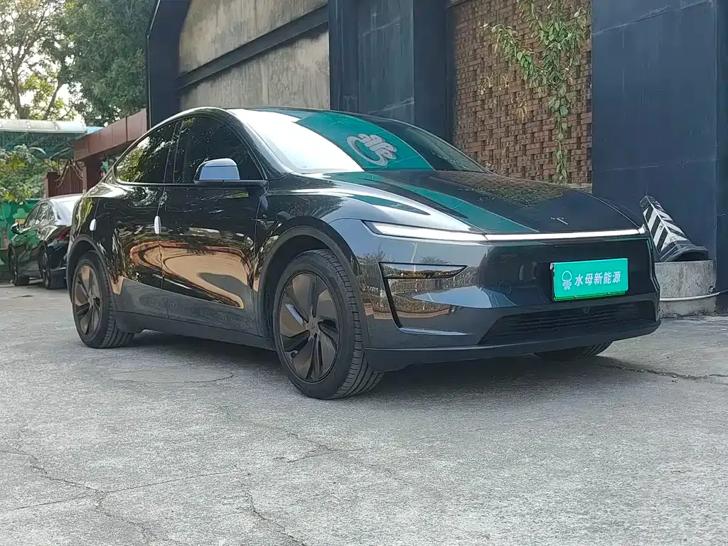 Tesla Model Y 2025 из CN, фото 9