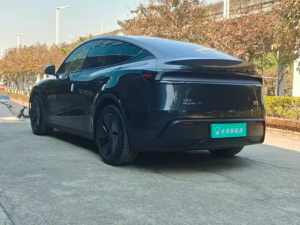 Tesla Model Y 2025 из CN, фото 6