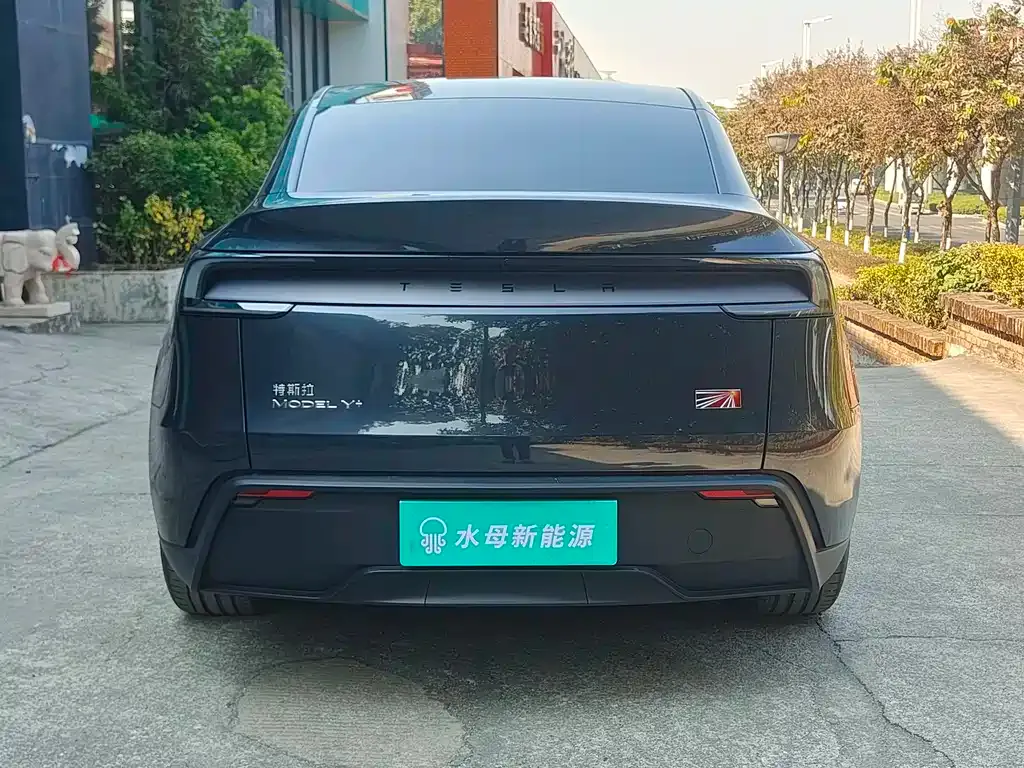 Tesla Model Y 2025 из CN, фото 3