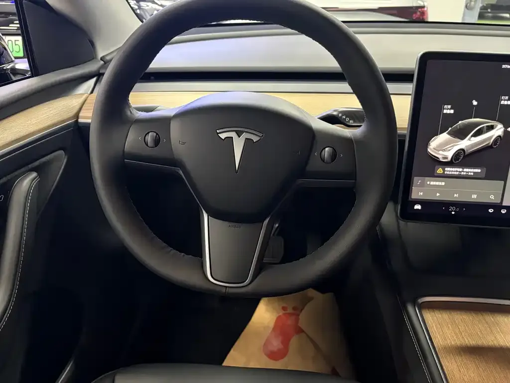 Tesla Model Y — фото 10