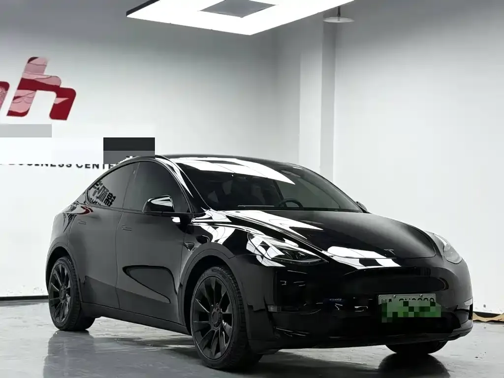 Tesla Model Y — фото 3