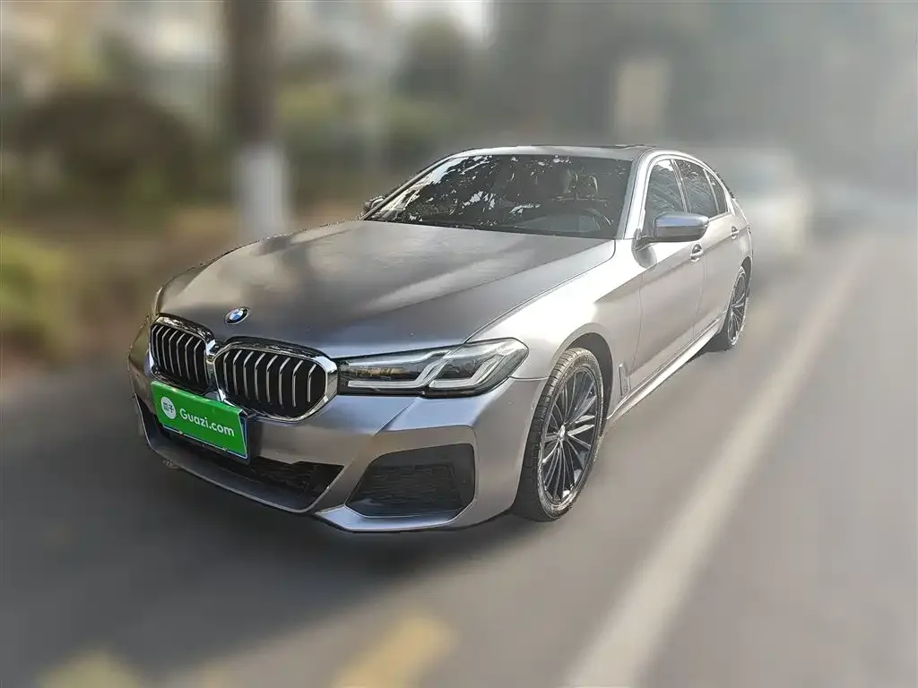BMW 5 Series 2021 из CN, фото 2