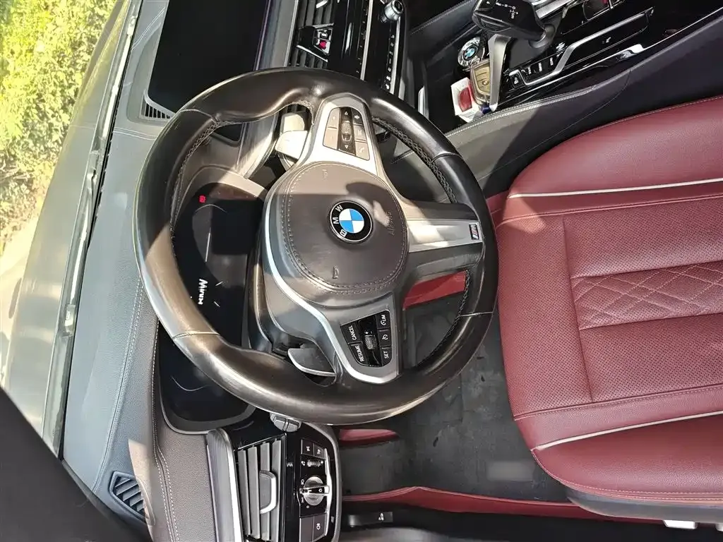 BMW 5 Series 2021 из CN, фото 9