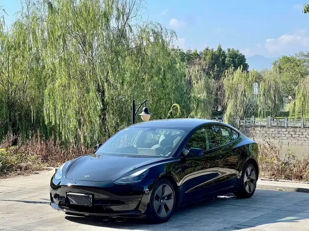 Tesla Model 3 2021 из CN, фото 1