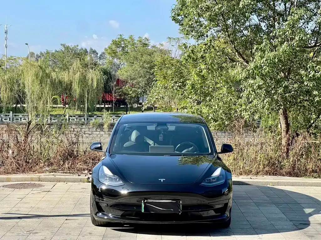 Tesla Model 3 2021 из CN, фото 2