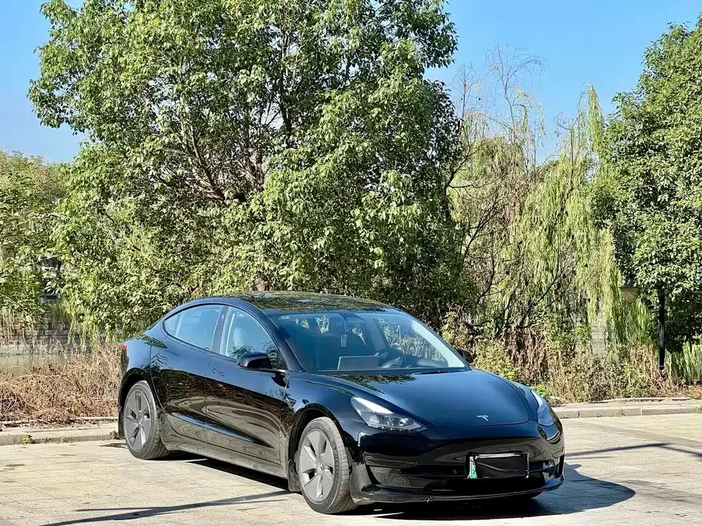 Tesla Model 3 2021 из CN, фото 3