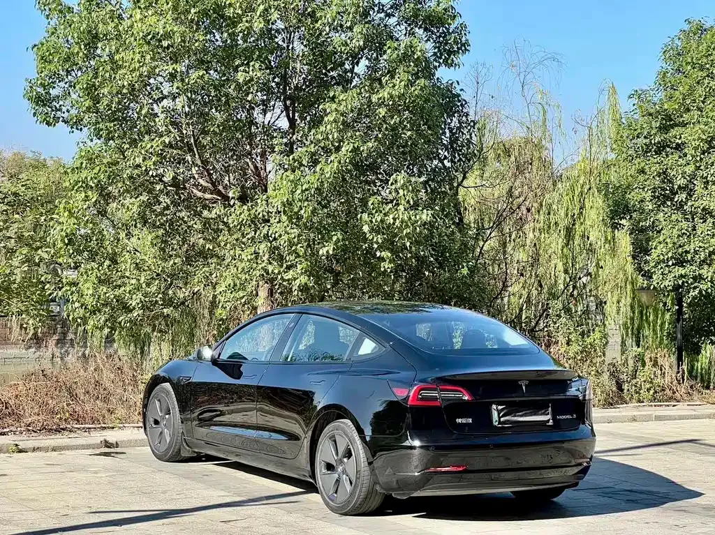 Tesla Model 3 2021 из CN, фото 4