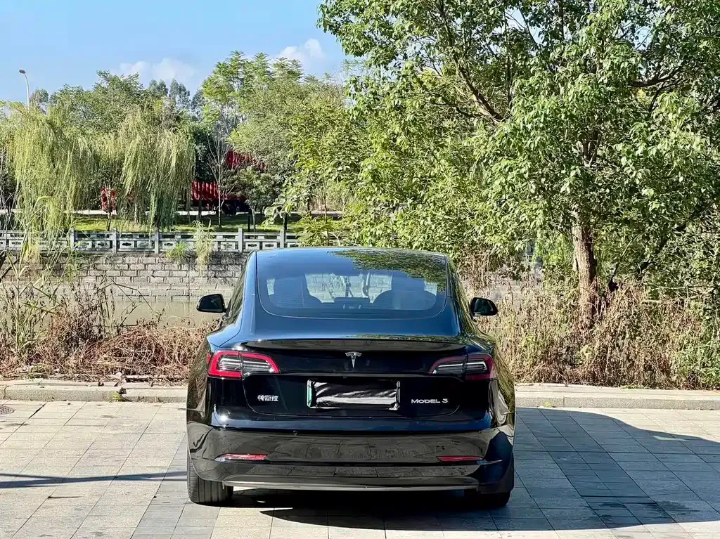 Tesla Model 3 2021 из CN, фото 5