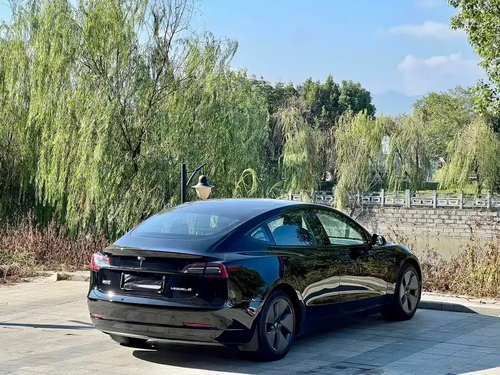 Tesla Model 3 2021 из CN, фото 6