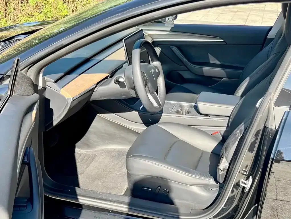 Tesla Model 3 2021 из CN, фото 7