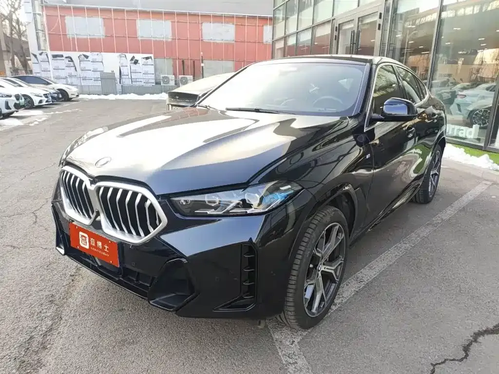 BMW X6 2024 из CN, фото 1