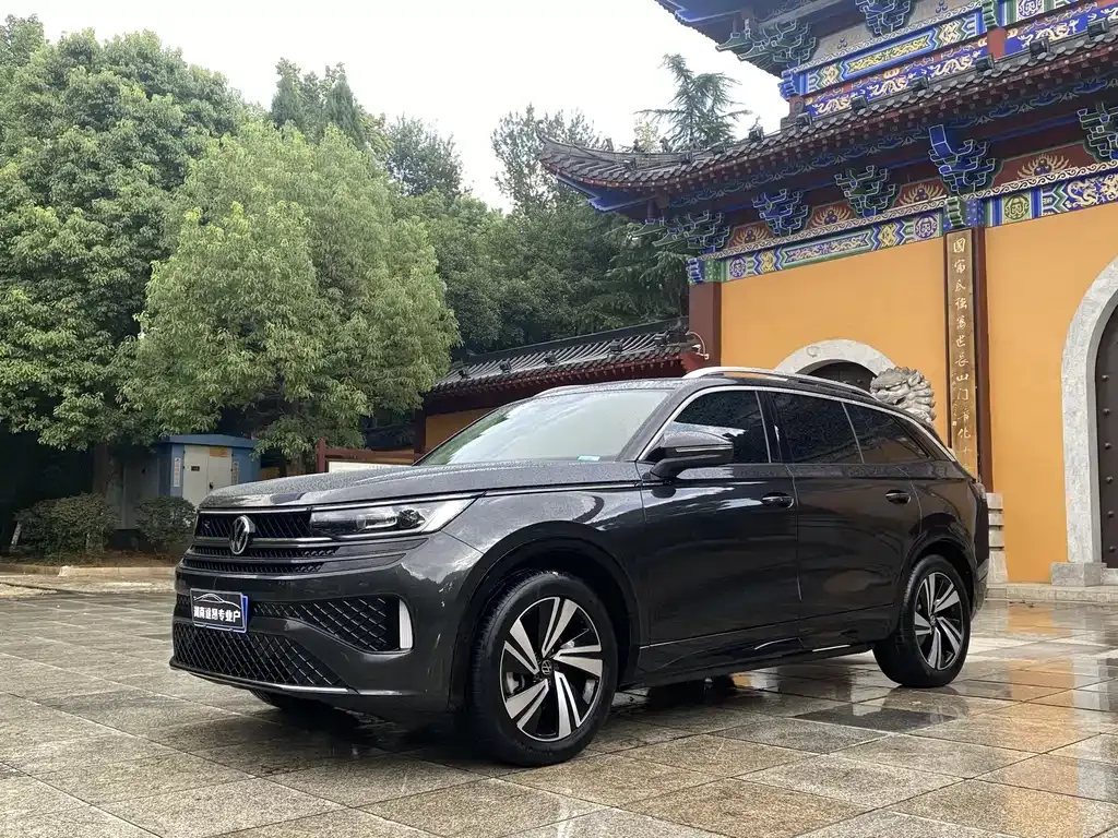 Volkswagen Tavendor 2023 из CN, фото 3