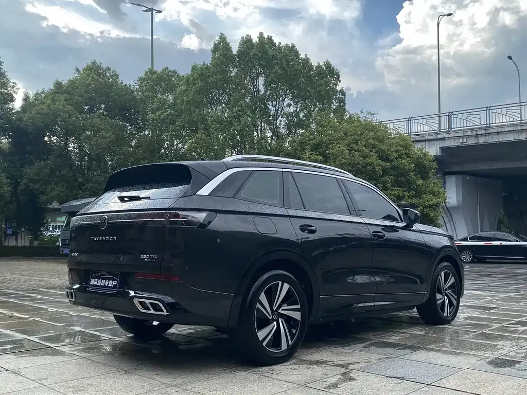 Volkswagen Tavendor 2023 из CN, фото 9