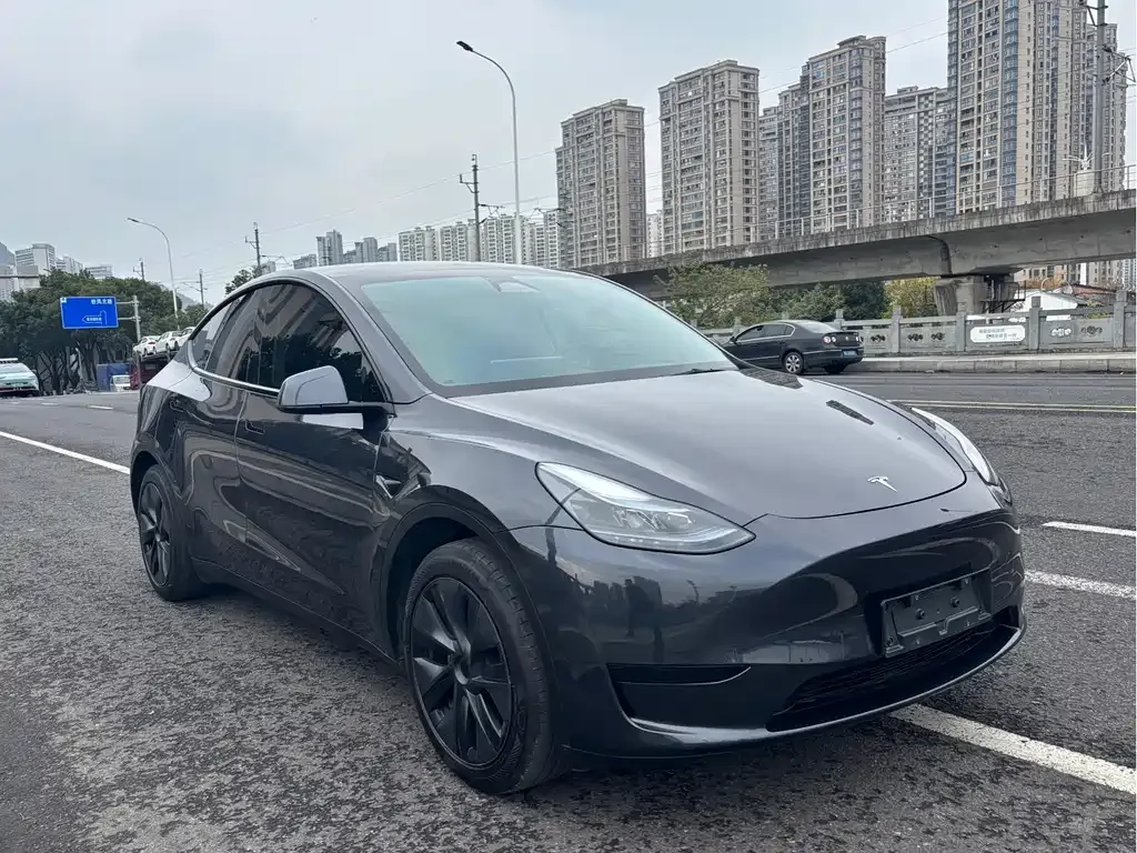 Tesla Model Y 2024 из CN, фото 2