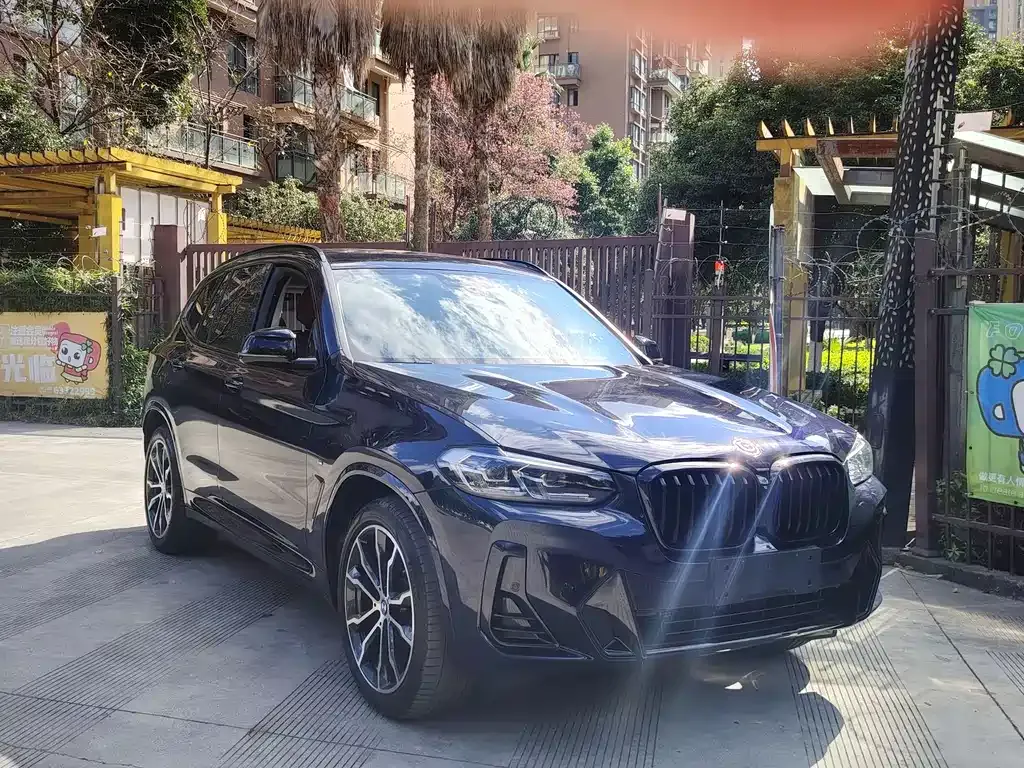 BMW X3 2022 из CN, фото 9