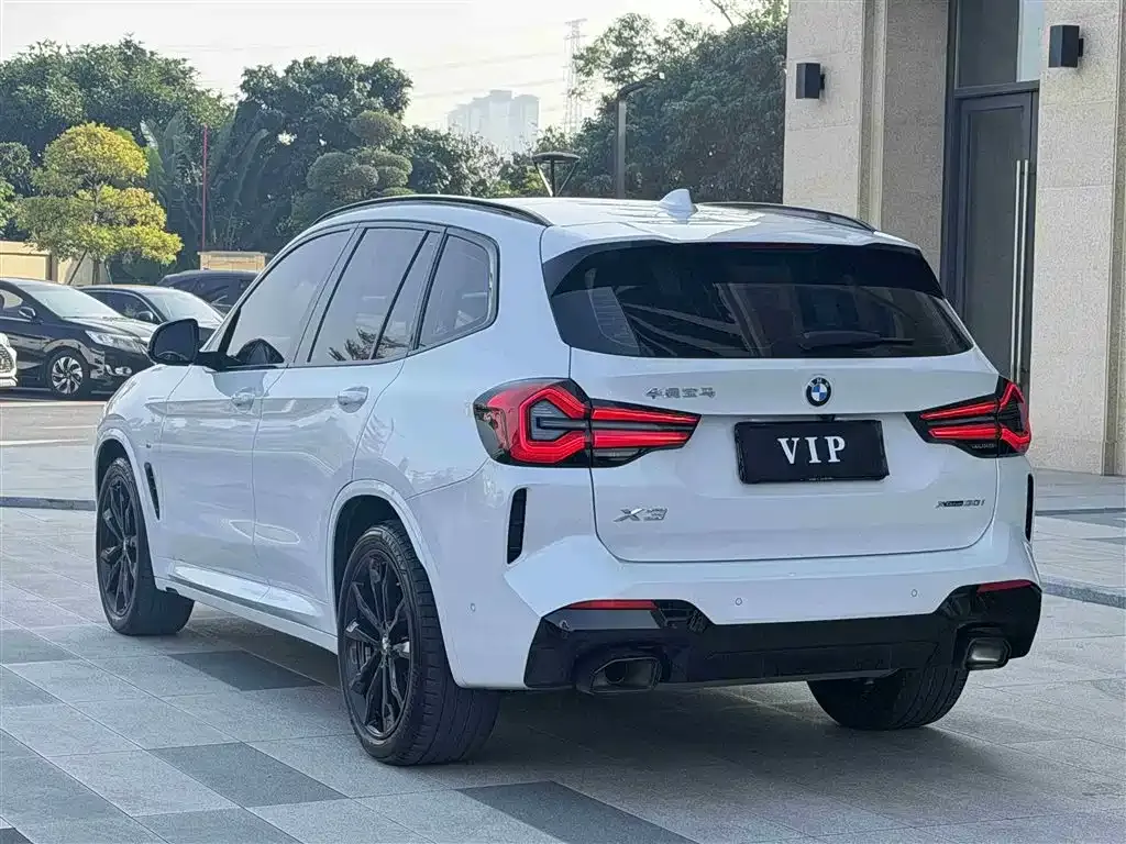 BMW X3 2023 из CN, фото 6