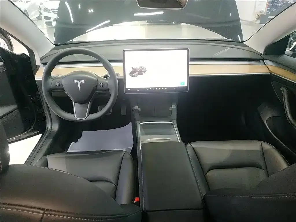 Tesla Model 3 2021 из CN, фото 9