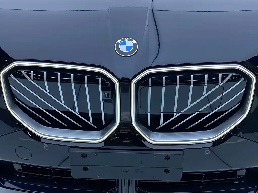 BMW X3 2025 из CN, фото 7