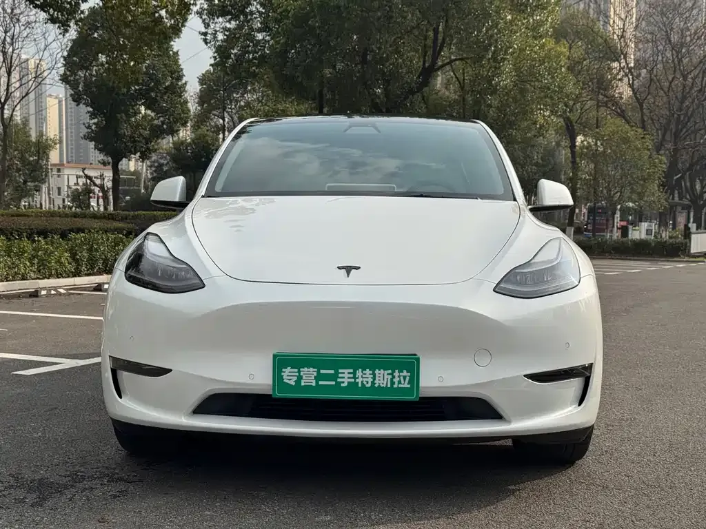 Tesla Model Y 2021 из CN, фото 1