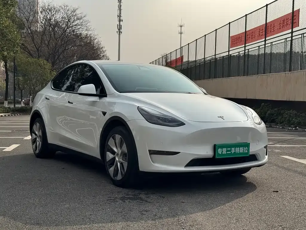 Tesla Model Y 2021 из CN, фото 2