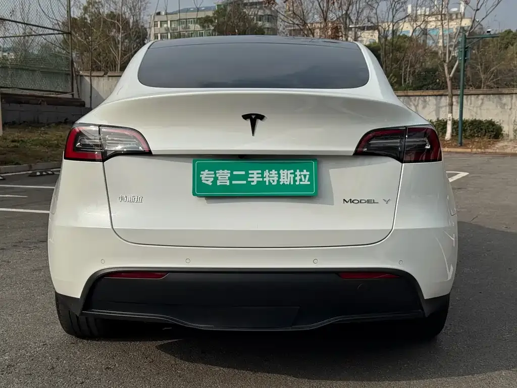 Tesla Model Y 2021 из CN, фото 3