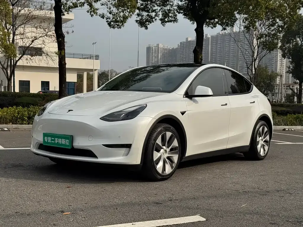 Tesla Model Y 2021 из CN, фото 6