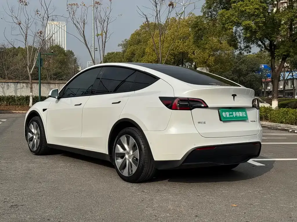 Tesla Model Y 2021 из CN, фото 8