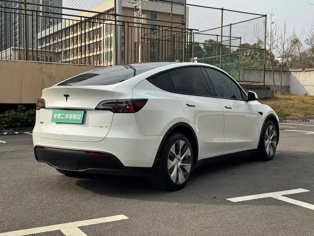 Tesla Model Y 2021 из CN, фото 9