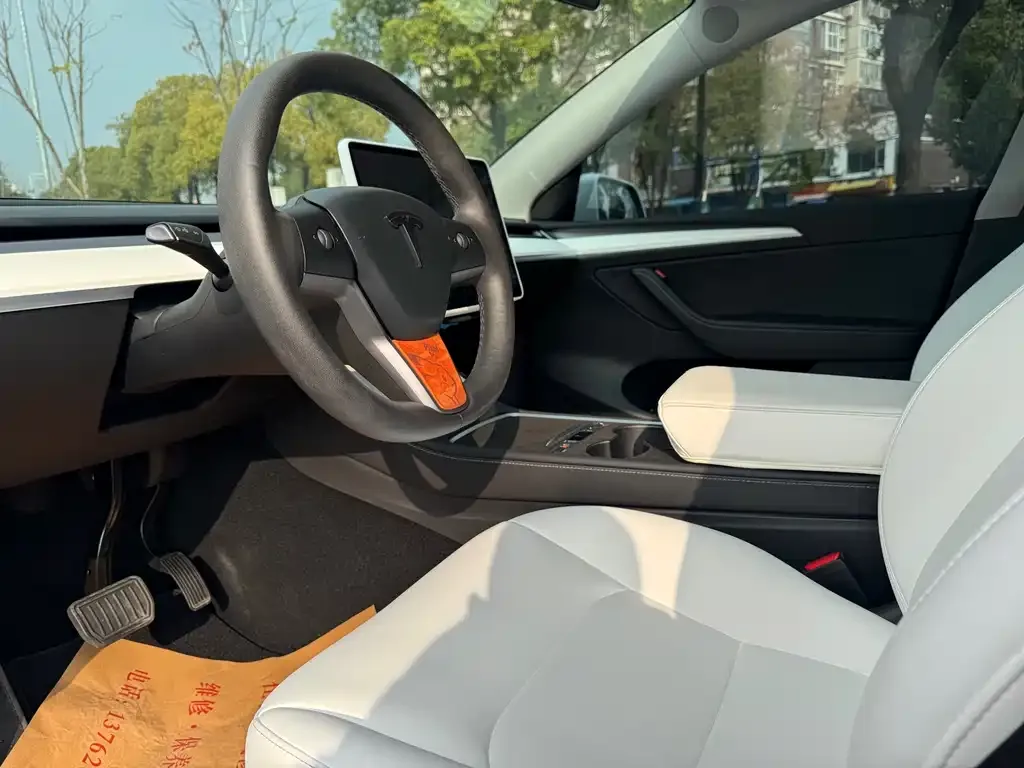 Tesla Model Y 2021 из CN, фото 4