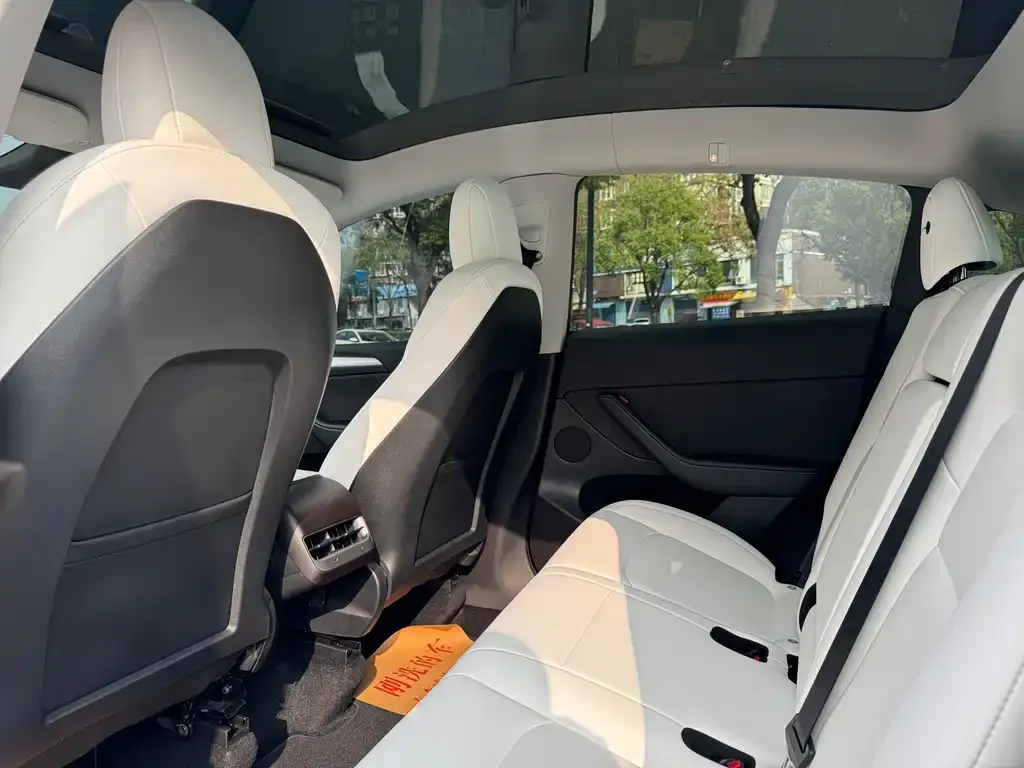 Tesla Model Y 2021 из CN, фото 5