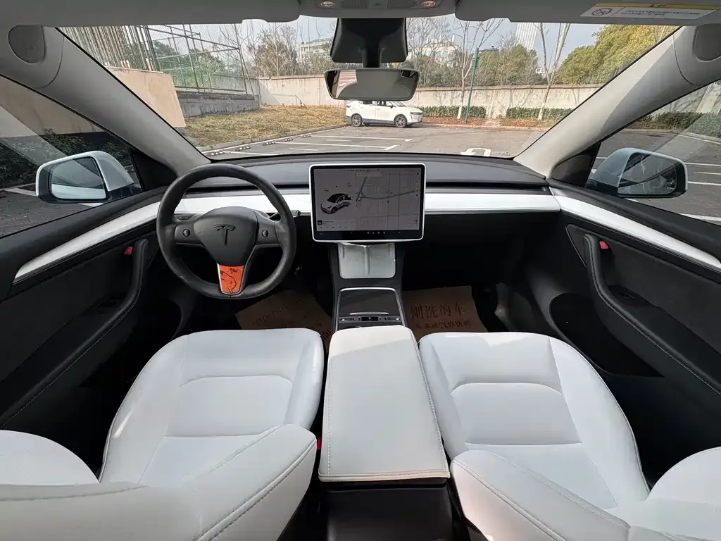 Tesla Model Y 2021 из CN, фото 7