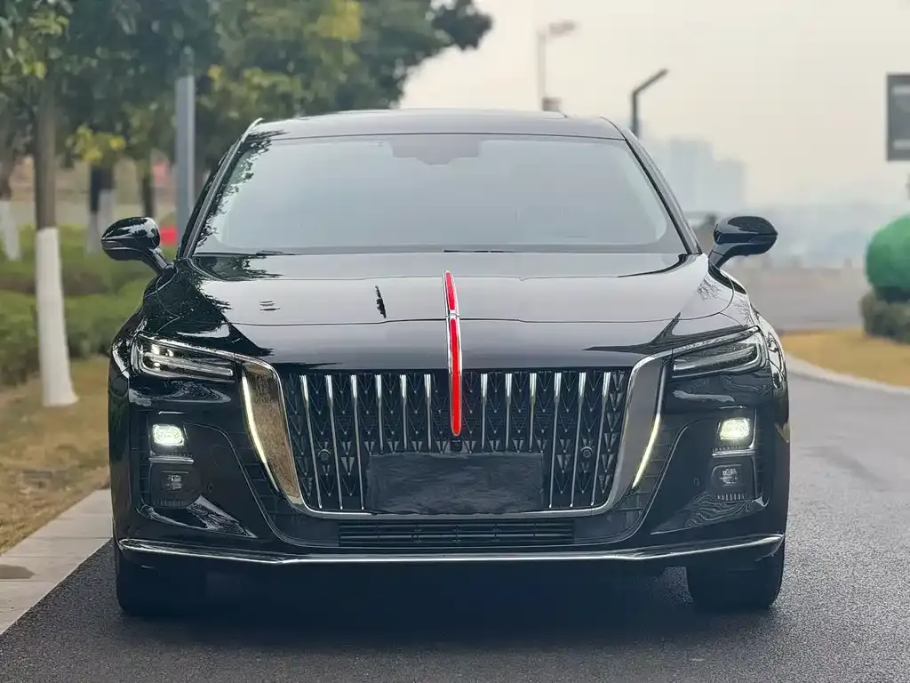 Hongqi H5 2023 из CN, фото 8