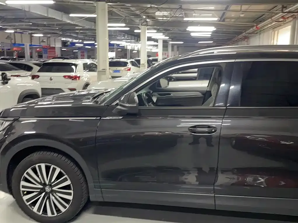 Volkswagen Tavendor 2023 из CN, фото 5