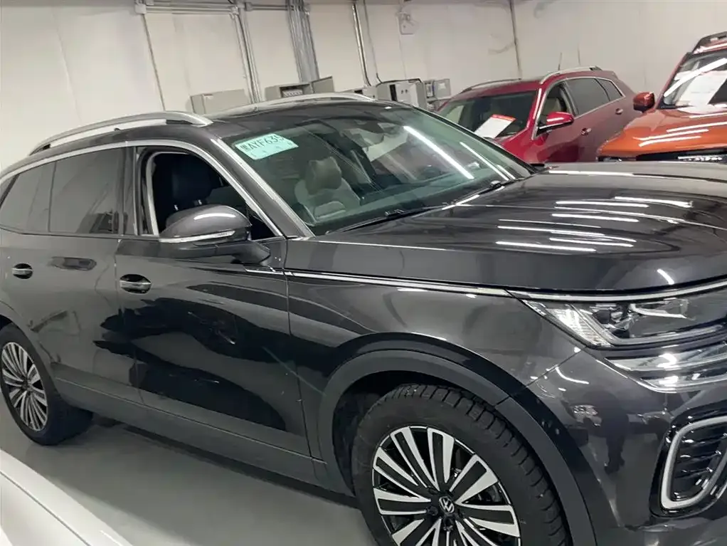 Volkswagen Tavendor 2023 из CN, фото 6