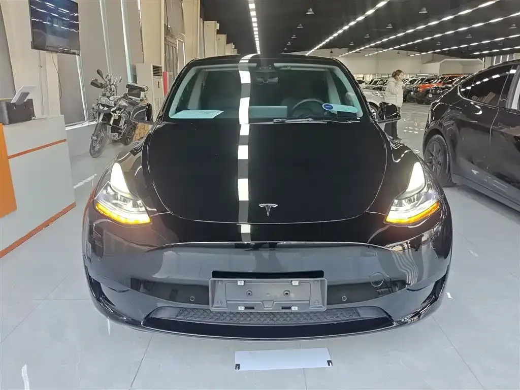 Tesla Model Y — фото 2