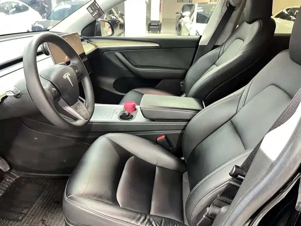 Tesla Model Y 2023 из CN, фото 10