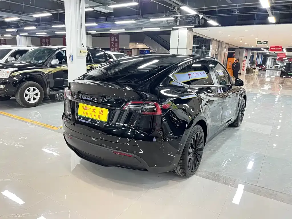 Tesla Model Y 2023 из CN, фото 6