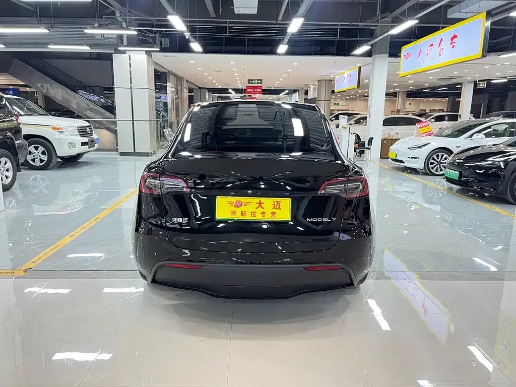 Tesla Model Y 2023 из CN, фото 4