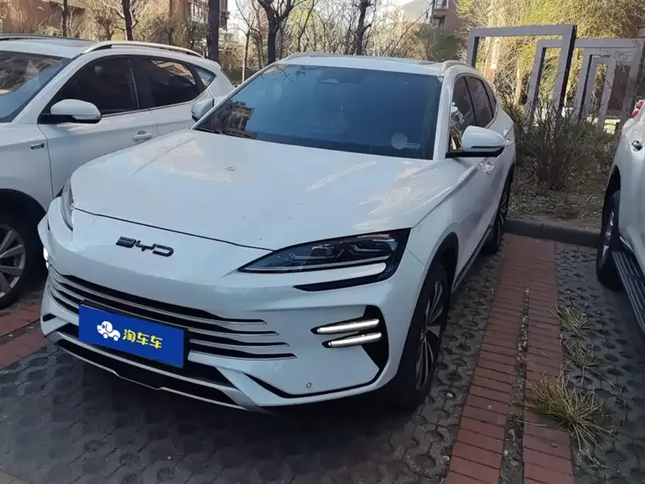 BYD PLUS New Energy 2024 из CN, фото 1