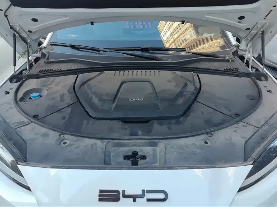 BYD PLUS New Energy 2024 из CN, фото 10
