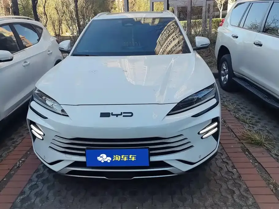 BYD PLUS New Energy 2024 из CN, фото 2
