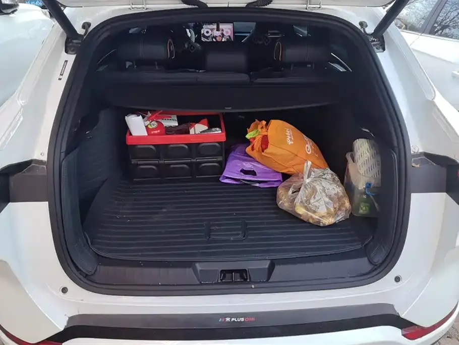 BYD PLUS New Energy 2024 из CN, фото 4