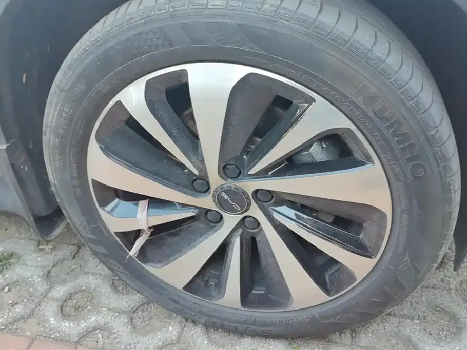 BYD PLUS New Energy 2024 из CN, фото 6