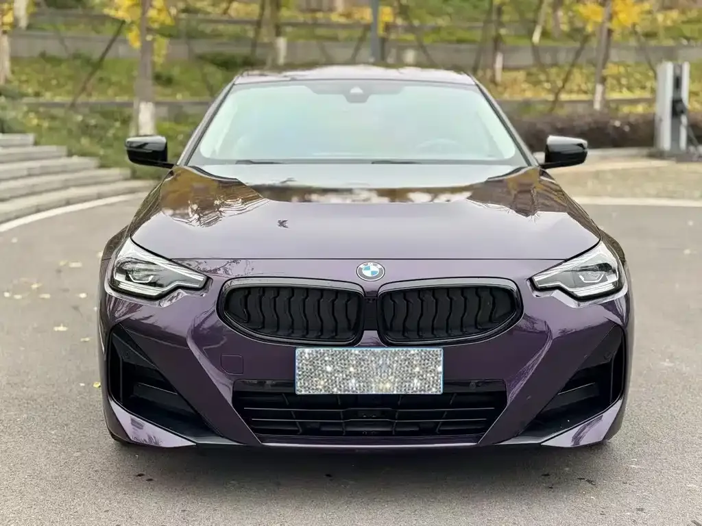 BMW 2 Series (Import) 2023 из CN, фото 5